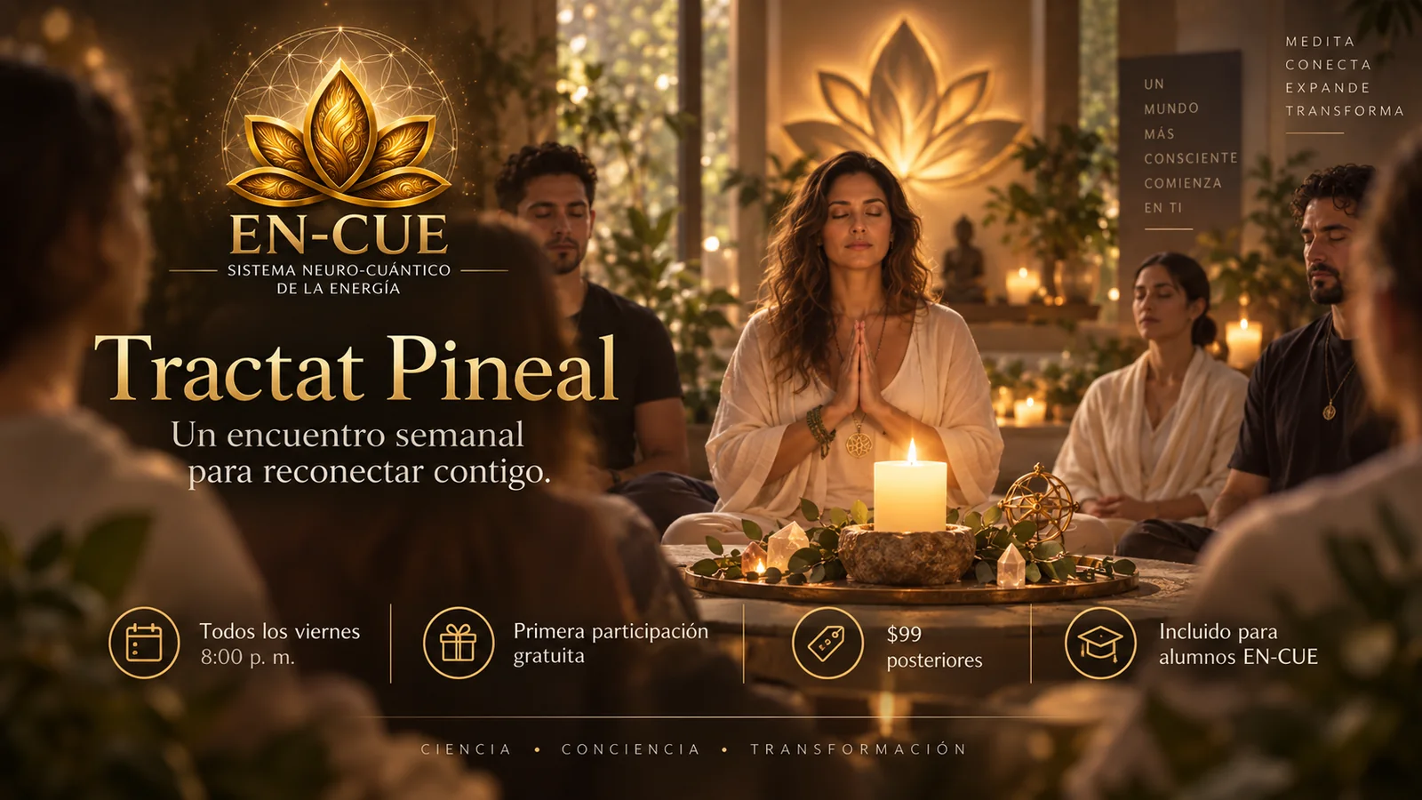 Tractat Pineal, encuentro grupal de meditación y respiración